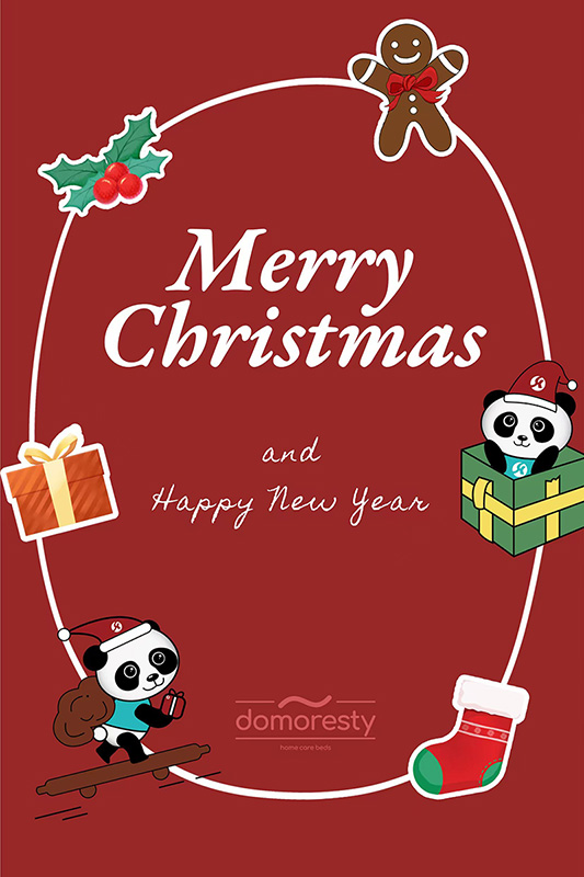 Domoresty Wishes You a Merry Christmas and a Happy New Year!